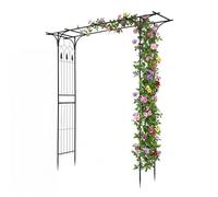COSTWAY Arche de Jardin en Métal pour Plantes Grimpantes