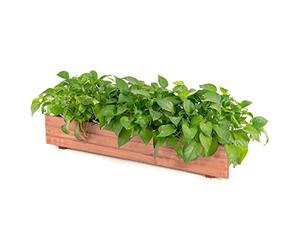 COSTWAY Jardinière Rectangulaire en Bois de Sapin, 90 x 18 x 15 cm