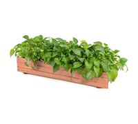 COSTWAY Jardinière Rectangulaire en Bois de Sapin, Lit de Jardin Surélevé Imperméable pour Culture Fruits Légumes, pour Jardin Patio Balcon, 90 x 18 x 15 cm