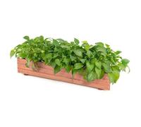 COSTWAY Jardinière Rectangulaire en Bois de Sapin Pré-huilé 91,5x18x16 CM Bac à Fleurs avec Grain de Bois Naturel pour