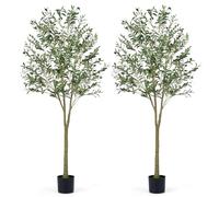 COSTWAY Lot de 2 Plantes Artificielles en Pot Hauteur 180CM, Olivier Artificiel 1152 Feuilles en Soie 64 Fruits avec Base de Ciment Décoration pour Maison Cour et Jardin