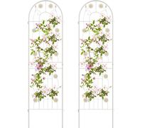 COSTWAY Treillis métallique pour 2 plantes, clôture de jardin décorative, support de plantes grimpantes indépendant, treillis jardin à planter, 220 x 50 cm, blanc