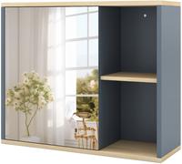 CostwayArmoire à Pharmacie avec Miroir Armoire Murale pour Salle de Bain avec Étagère Ajustable et Compartiments Ouverts Organisateur Gris