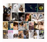 Cosy & Portraits - Lot de 25 cartes postales avec tigres d'intérieur et gros plans, vierges, format A6, cartes postales d'animaux pour le postcrossing et les collectionneurs, maman, Hygge, moustaches