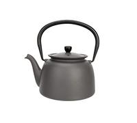 Cosy & Trendy 8278312 Théière en fonte "Jane"0.92L-Gris-Tous feux dont induction