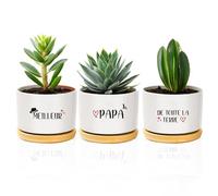 coTaSiEY Cadeau Fete des Peres, Pot de Fleurs Cadeau Papa Père Pere Beau Futur Papa Homme Fête des Pères Anniversaire Noel Original Idee