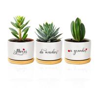 coTaSiEY Cadeau Maitresse D'école, Pot de Fleurs Cadeaux Merci Maitresse Maîtresse Maitre Maître Atsem Professeur Directrice D'école Fin D'année Noel Idée, Cadeau Merci de M'aider à Grandir