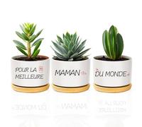 coTaSiEY Cadeau Maman Noel, Pot de Fleurs Cadeau Maman Mère Mere Future Jeune Belle Maman Femme Fete des Meres Fête des Mères Anniversaire Noel Idee Original