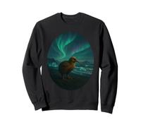 Côte arctique Aurora Kiwi Sweatshirt