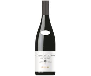 Coteaux du Giennois Rouge 2023 - Clément & Florian Berthier