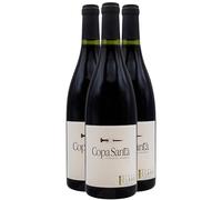 Coteaux du Languedoc Copa Santa - Rouge 2020 - Domaine Clavel - Vin Rouge du Languedoc - Roussillon (3x75cl) BIO