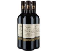 Coteaux du Languedoc L'Esprit De Font Caude - Rouge 2020 - Domaine Alain Chabanon - Vin Rouge du Languedoc - Roussillon (3x75 IO