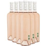 Coteaux varois en Provence Retour aux Sources - Rosé 2025 - Estandon - Vin Rosé (6x75 IO