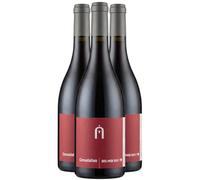 Côtes Catalanes Dis Moi Oui - Rouge 2023 - Mas Cristine - Vin Rouge du Languedoc - Roussillon (3x75cl)