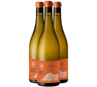 Côtes Catalanes Tangerina Vin Orange - Blanc 2025 - Château Saint Roch - Vin Blanc du Languedoc - Roussillon (3x75cl)
