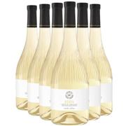 Côtes de Provence Eden - Blanc 2024 - Château Saint Pierre - Vin Blanc (6x75cl)