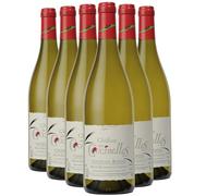 Côtes du Rhône - Blanc 2025 - Château des Coccinelles - Vin Blanc de la Vallée du Rhône (6x75 IO