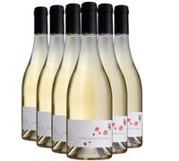 Côtes du Rhône Le Fabuleux destin d’Amélie Boutin - Blanc 2023 - Domaine La Boutinière - Vin Blanc de la Vallée du Rhône (6x75cl) HVE