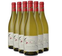 Côtes du Rhône Magnum - Blanc 2023 - Château des Coccinelles - Vin Blanc de la Vallée du Rhône (6x150 IO