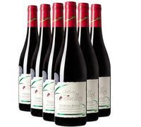 Côtes du Rhône Magnum - Rouge 2023 - Château des Coccinelles - Vin Rouge de la Vallée du Rhône (6x150 IO