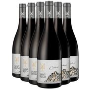 Côtes du Roussillon Corbarol - Rouge 2024 - Château Saint Roch - Vin Rouge du Languedoc - Roussillon (6x75cl)
