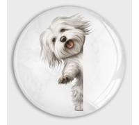 Coton de Tulear Aimants en verre pour réfrigérateur Motif chien qui regarde autour du coin Petits aimants amusants pour lave-vaisselle pour cuisine, bureau, salle de classe, fournitures de maison