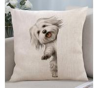 Coton de Tulear Taie d'oreiller décorative en forme de chien qui regarde autour du coin pour la maison, le canapé, la décoration des animaux domestiques, cadeau d'anniversaire, 55,9 x 55,9 cm