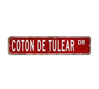 Cotton De Tulear Plaque en métal en coton de Tulear Décoration murale rétro shabby chic Décoration d'intérieur