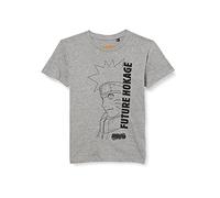 COTTON DIVISION BONARUTTS002 T-Shirt, Gris Melange, 08A Garçon 8 Ans