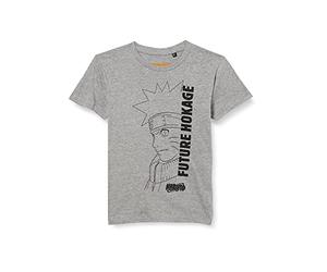 COTTON DIVISION BONARUTTS002 T-Shirt, Gris Melange, 08A Garçon 8 Ans