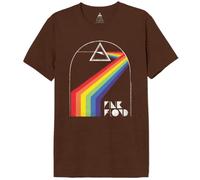 cotton division Legend Icon Officiel Pink Floyd imprimé T-Shirt pour Homme Col Ras du Cou Manches Courtes Coton Coupe régulière,Prismatic Light_Marron Melange,XXL
