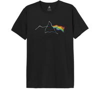 cotton division Legend Icon Officiel Pink Floyd imprimé T-Shirt pour Homme Col Ras du Cou Manches Courtes Coton Coupe régulière,Rainbow Grunge_Noir,XS