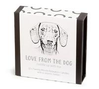 Cotton & Grey Lot de 12 bougies Twenty Minute avec support en céramique Cire d'abeille