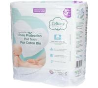 Cottony CcheT5 11-25 B/24