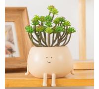 COTYNI Pots Assis, Pots de Fleurs succulentes, Pot de Fleurs en résine avec Trou de Drainage, Pot de Cactus Unique, Petit Pot pour Mini Plante (Lot de 1)