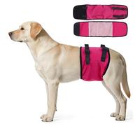 Couche réutilisable pour chien mâle, bande ventrale respirante avec boucle de fermeture, protection post-chirurgie, bandage anti-léchage lavable pour chien