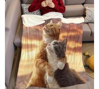 Coucher de Soleil Couverture Polaire Chat tigré Animal 220 x 240 cm Plaid Flanelle Douce et Chaude, Impression 3D, Jeté de Lit ou Canapé pour Enfant et Adulte