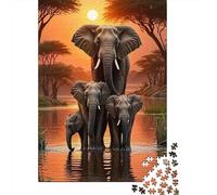 Coucher de Soleil de Famille éléphant 1000 Pièce Papier Écologique Puzzle Classique Collecteurs Jeu Stimulant Décompression Cadeaux 38x26cm/1000pcs
