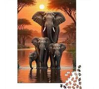 Coucher de Soleil de Famille éléphant 1000 Pièces 1000 Pièces Adultes Puzzles Décoration D Intérieur Enfants Cadeaux Classiques pour Créatif 70x50cm/1000pcs