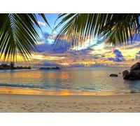 Coucher de Soleil Plage été Tropical mer Palmier hawaïen séance Photo Accessoire fête d'anniversaire Photo arrière-Plan Photographie Toile de Fond Studio 150cmx100cm