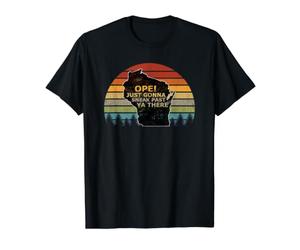 Coucher de Soleil rétro du Wisconsin, Une idée drôle Qui va Juste Passer Devant Vous T-Shirt Graphique avec Valeur