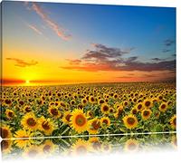 Coucher de soleil sur le champ de tournesol Format: toile 120x80auf, XXL énormes Photos complètement encadrés par la civière, l'impression de l'image Art mural avec cadre, moins cher que peintures à l'huile et de l'image, aucune affiche ou poster