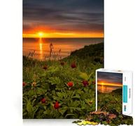 Coucher de Soleil sur Un lac, mer, Bateau, Puzzle de 1000 pièces pour Adultes, Cadeau pour renforcer Les Souvenirs, Moments de sérénité, qualité supérieure, Cadeau de Noël 50x75cm