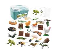 CoudarTitie Figures Du Cycle de Croissance Des Animaux pour Le Jeu éducatif et La Narration, boite bleue