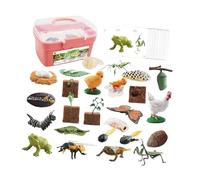 CoudarTitie Figures Du Cycle de Croissance Des Animaux pour Le Jeu éducatif et La Narration, Boîte rose
