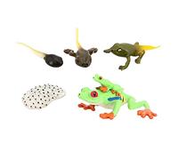 CoudarTitie Figurine Cycle de Vie Animal Réalisme Scientifique Enseignement Croissance Jouet Modèles Pédagogiques Étude Développementale pour Enfants Lecture