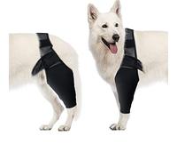 Coudière pour Chien, Genouillère de Compression pour Chien, Soutien du Coude et de L'épaule, Dysplasie, Arthrite, Callosités du Coude, Plaies de Pression, Luxation de L'épaule(M)
