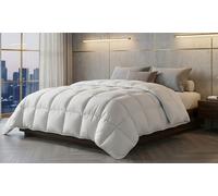 Couette 100% plumes de canard : 220 x 240 cm