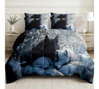 Couette 200x200cm Loup Paysage De Neige Imprimée Couette sans Housse | Réversible Couette Animaux Forêt Hivernale 4 Saisons 2 Personnes Super Douce Respirante Edredon avec 2 Taies d'oreiller