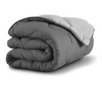 IDMarket - Couette 220x240 CM Abby Bicolore Gris Clair et Gris 300 GR